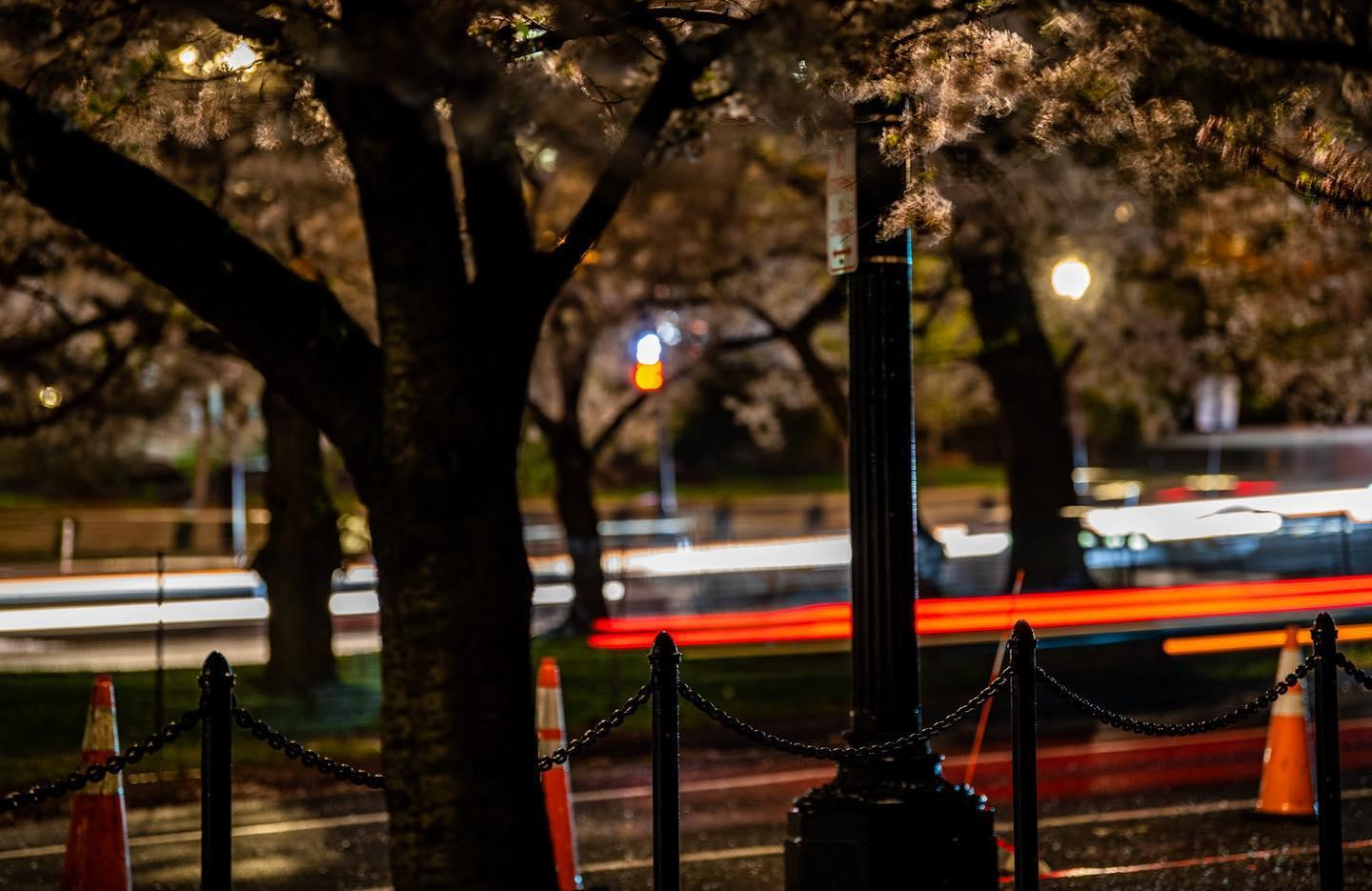 A Night Out in DC: The Charm of Lights and the DMV